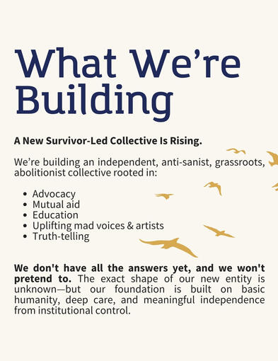 Text Reads: What We’re Building A New Survivor-Led Collective Is Rising. We’re building an independent, anti-sanist, grassroots abolitionist collective rooted in: * Advocacy * Mutual aid * Education * Uplifting mad voices & artists * Truth-telling We d